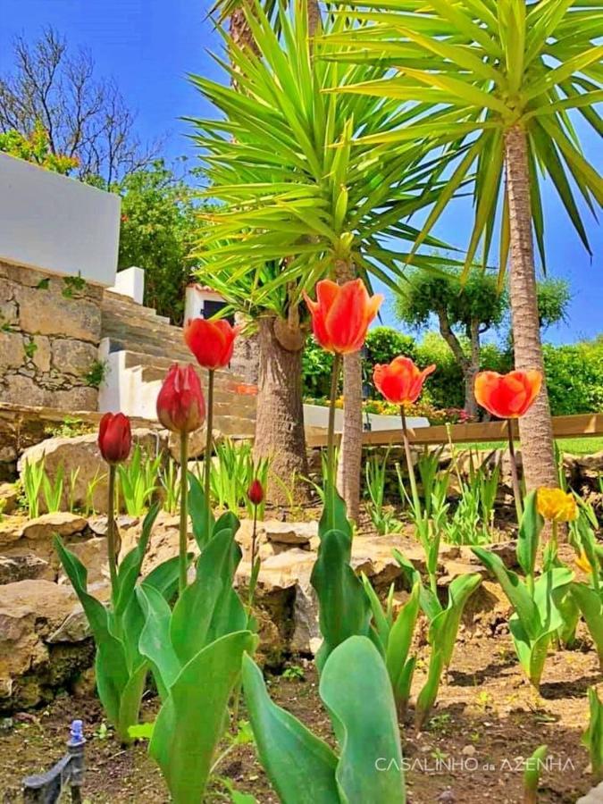 Casalinho Da Azenha - Charm House Hotel Sintra Ngoại thất bức ảnh